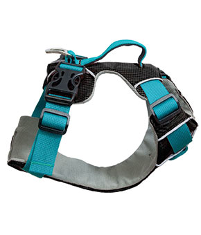 Sotnos Travel Safety & Walking Harness