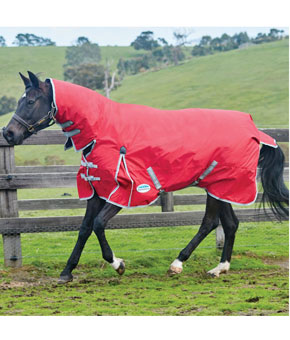 Weatherbeeta Comfitec Classic Combo Medium/Lite Turnout