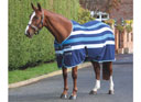 Shires Tempest Original Newmarket Fleece Blue Stripe