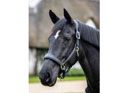 LeMieux Stitched Leather Headcollar in black