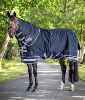 LeMieux Arika Storm-Tek 100g Turnout Rug