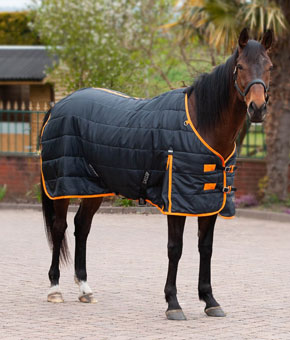 Gallop Trojan 100 Stable Rug