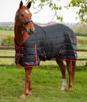 Gallop Trojan 200 Stable Rug