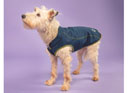 Digby & Fox Softshell Dog Coat - Navy