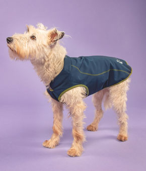 Digby & Fox Softshell Dog Coat - Navy