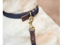 The Weatherbeeta Leather Plaited Dog Lead Brown/Navy