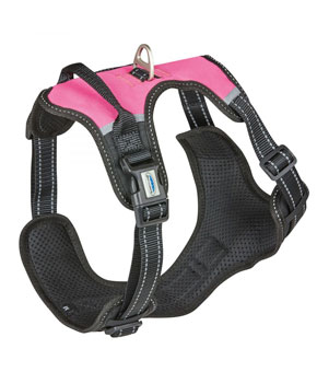 Weatherbeeta Anti Pull/Travel Harness (Black/Pink)