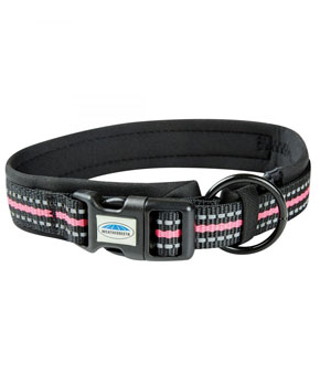 Weatherbeeta Reflective Dog Collar - Black/Pink