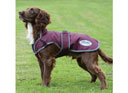 Weatherbeeta ComFiTec Parka Deluxe Dog Coat Maroon