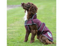 Weatherbeea ComFiTec Parka Deluxe Dog Coat Maroon