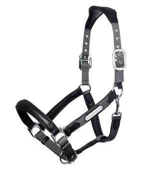 LeMieux Capella Luxury Leather Headcollar - Grey