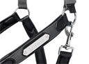 LeMieux Capella Luxury Leather Headcollar - Grey