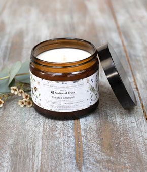 Toasted Crumpet Wildflower Meadows Scented Apothecary Candle