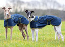 Digby & Fox Softshell Greyhound Coat - Navy