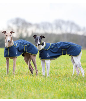 Digby & Fox Softshell Greyhound Coat - Navy