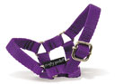 Crafty Ponies Headcollar Purple