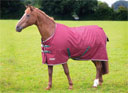 Shires Tempest Original Standard 200g - Maroon