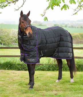 Gallop Trojan Dual 200 Stable Rug & Neck Set