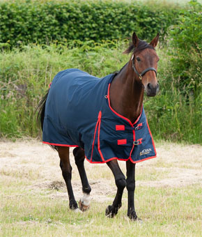 Gallop Trojan 200 Standard Neck Turnout Rug Navy & Red binding