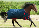 Gallop Trojan 200 Standard Neck Turnout Rug Navy & Red binding