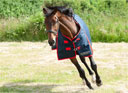 Gallop Trojan 200 Standard Neck Turnout Rug Navy & Red binding