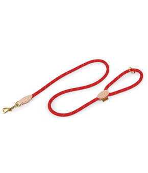 Digby & Fox Reflective Dog Lead Scarlett