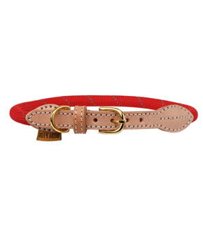 Digby & Fox Reflective Dog Collar Scarlett