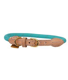 Digby & Fox Reflective Dog Collar Teal