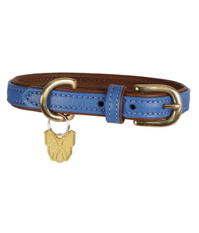 Digby & Fox Padded Leatehr Dog Collar Royal