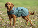 Digby & Fox Heritage Dog Coat Forest Green