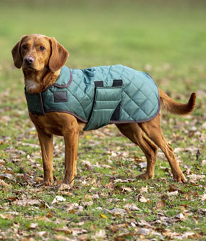 Digby & Fox Heritage Dog Coat Forest Green