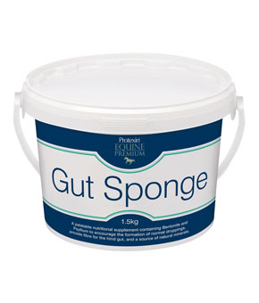 Protexin Gut Sponge