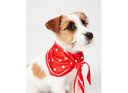 Joules Harbour Dog Top & Neckerchief Set