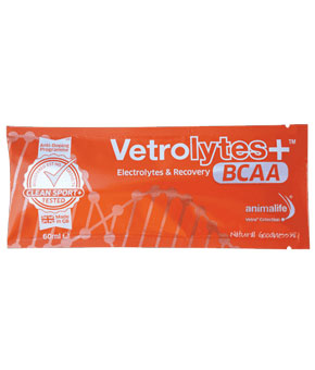 Animalife Vetrolytes Plus Sachet