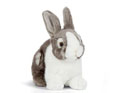 Living Nature Grey Pet Rabbit Plush Toy