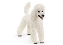 Schleich Poodle