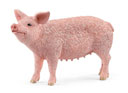 Schleich Pig