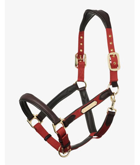 LeMieux Capella Headcollar - Sienna