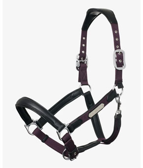 LeMieux Capella Headcollar - Fig