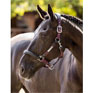 LeMieux Capella Headcollar - Fig