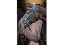 LeMieux Work Bridle in Black