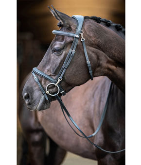 LeMieux Work Bridle in Black