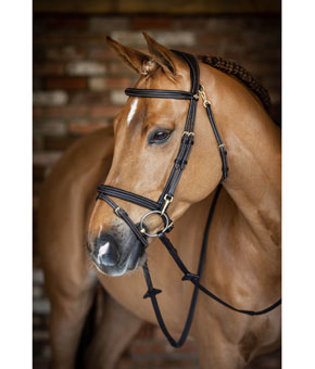 LeMieux Work Bridle in Brown