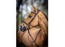 LeMieux Work Bridle in Brown