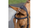 LeMieux Work Bridle in Brown