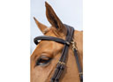 LeMieux Work Bridle in Brown