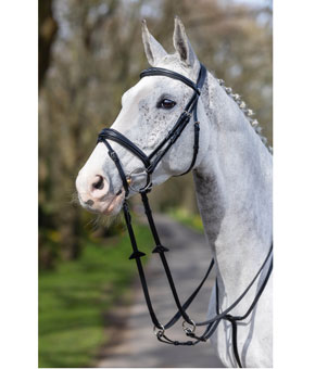 LeMieux Competition Bridle Black