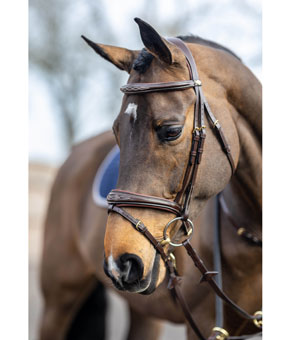 LeMieux Competition Bridle Havana