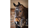 LeMieux Competition Bridle Havana