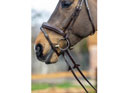 LeMieux Competition Bridle Havana